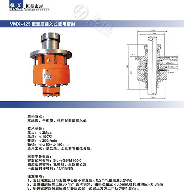VMX-125型釜底插入式釜用密封.jpg